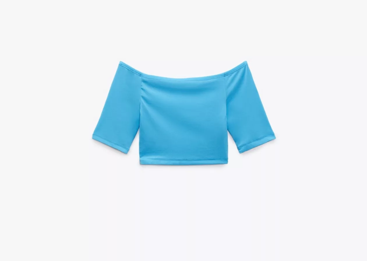 Zara Crop T Shirt