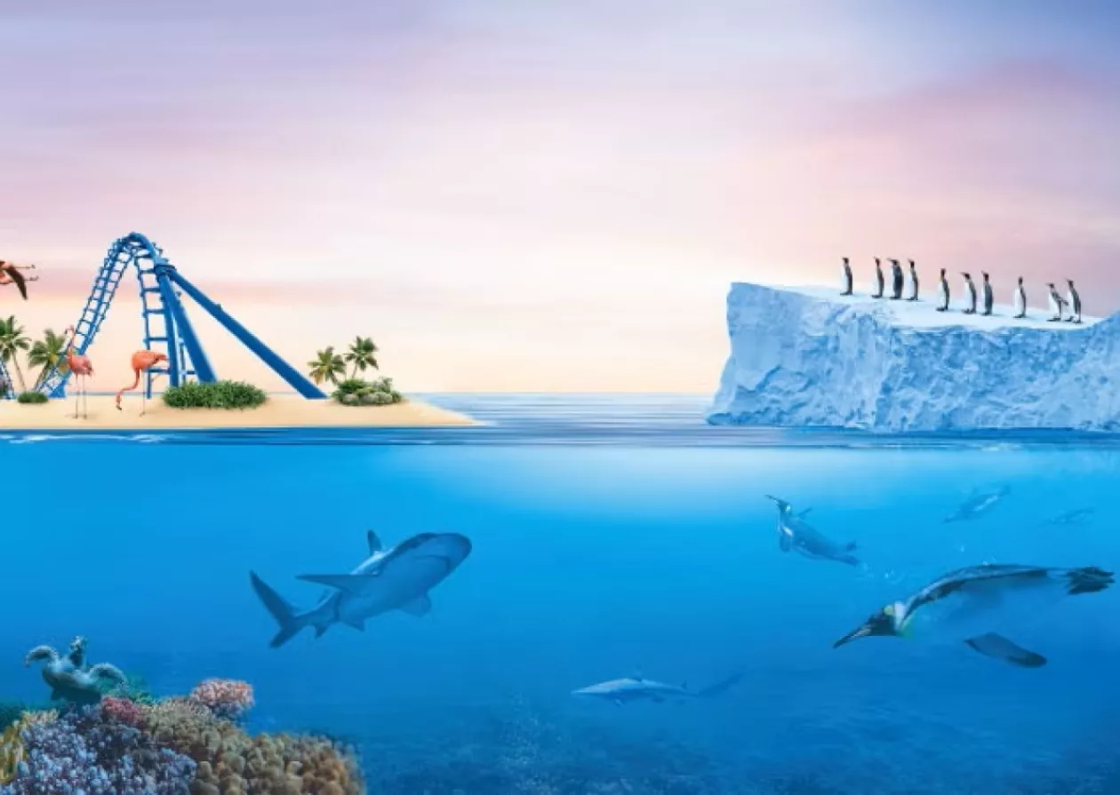 Sea World Yas Island Abu Dhabi A Marine Life Theme Park Like No Other 1