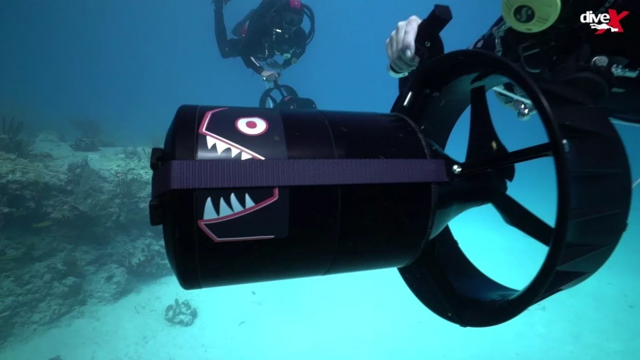 Piranha02