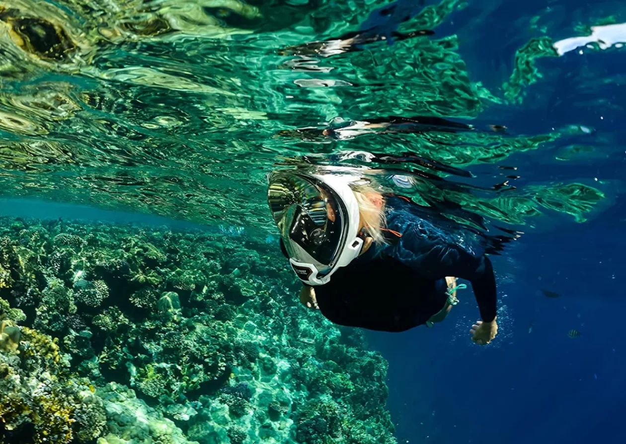 Dive into Unmatched Comfort and Safety with OCEAN REEF Aria QR Quick Release Snorkeling Mask 5