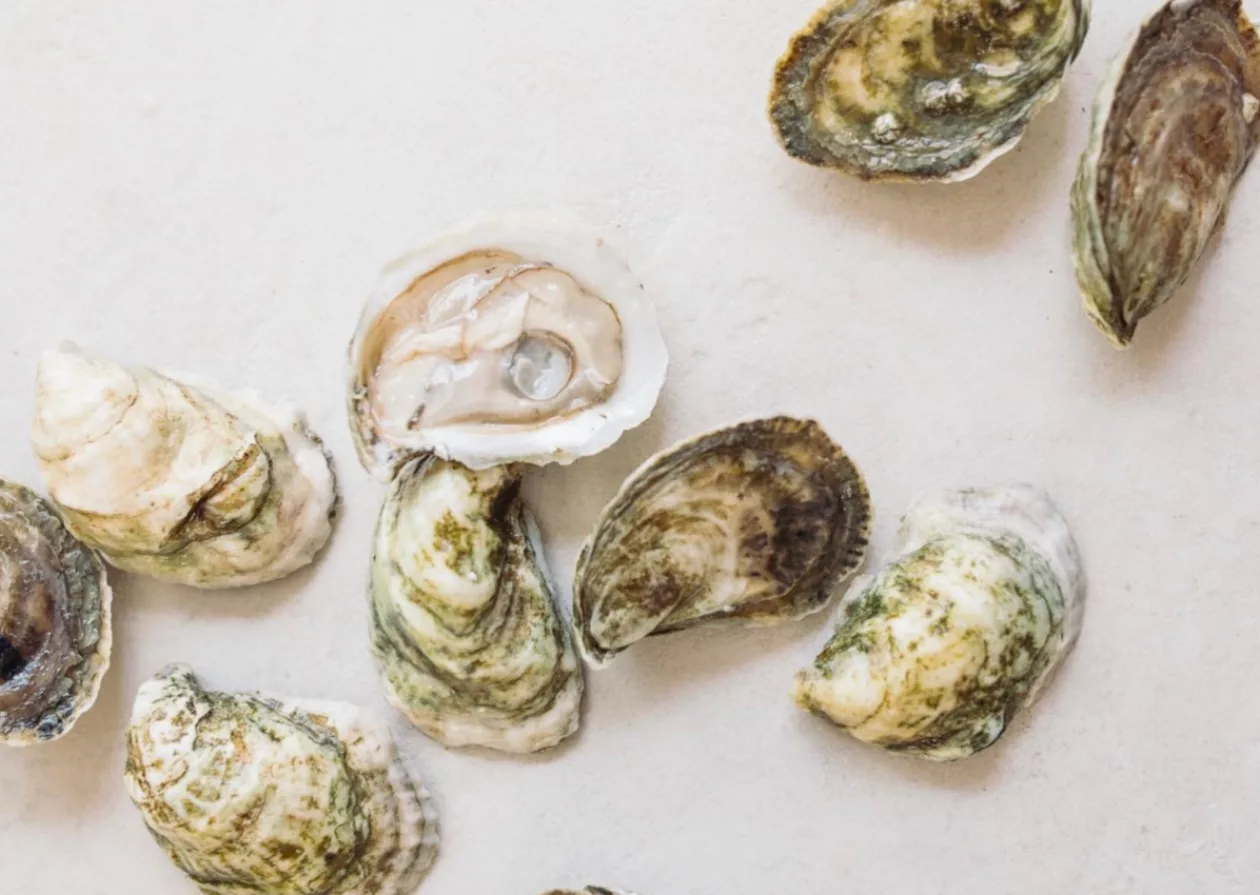 Real Oyster Cult Monthly Membership 2