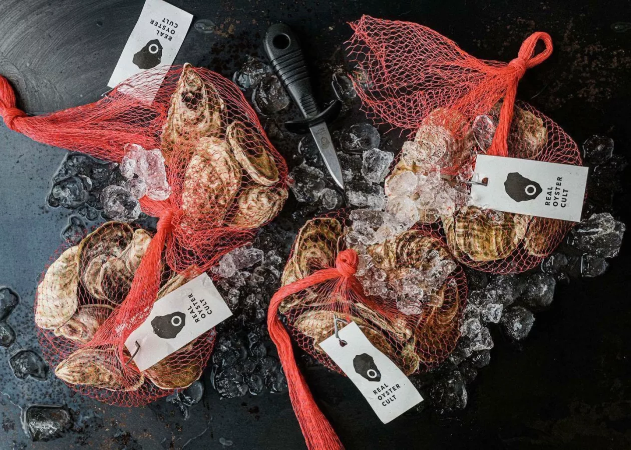 Real Oyster Cult Monthly Membership