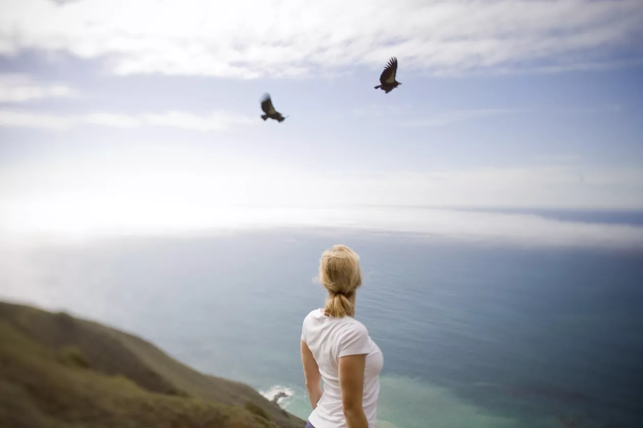Post Ranch Inn A Serene Coastal Haven of Luxury and Romance 6