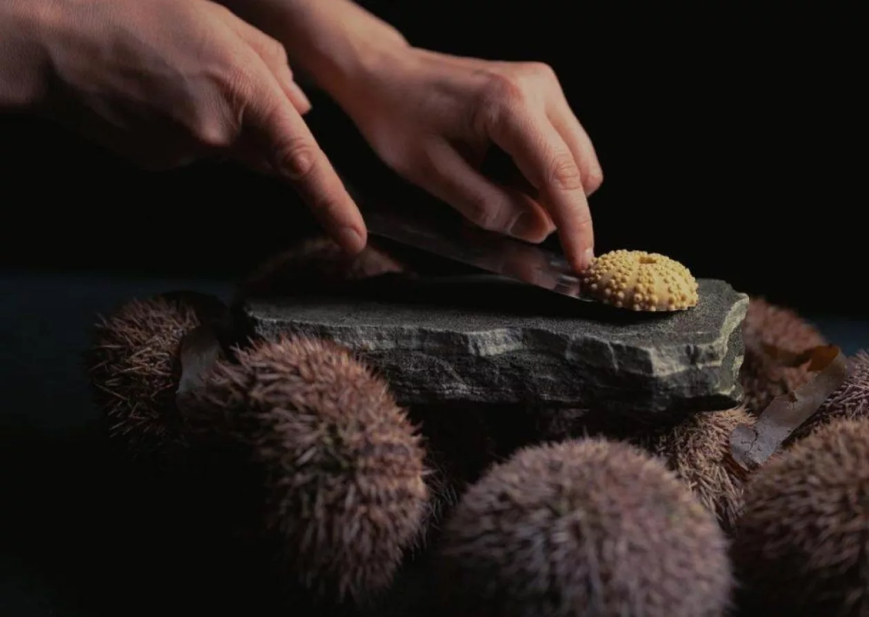 Culinary Odyssey with Iris Expedition Dining 2