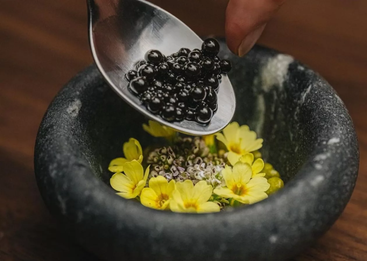 Culinary Odyssey with Iris Expedition Dining 5