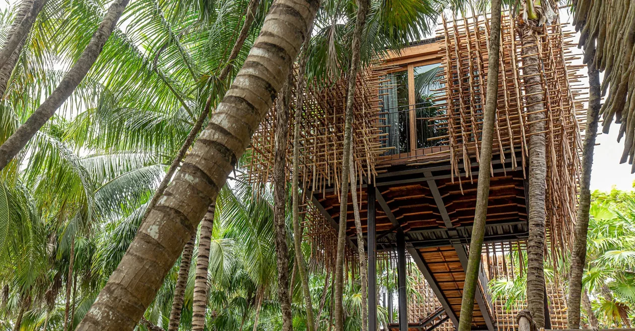 Journey into Harmony Nômade Tulums Coastal Oasis of Wellness 9