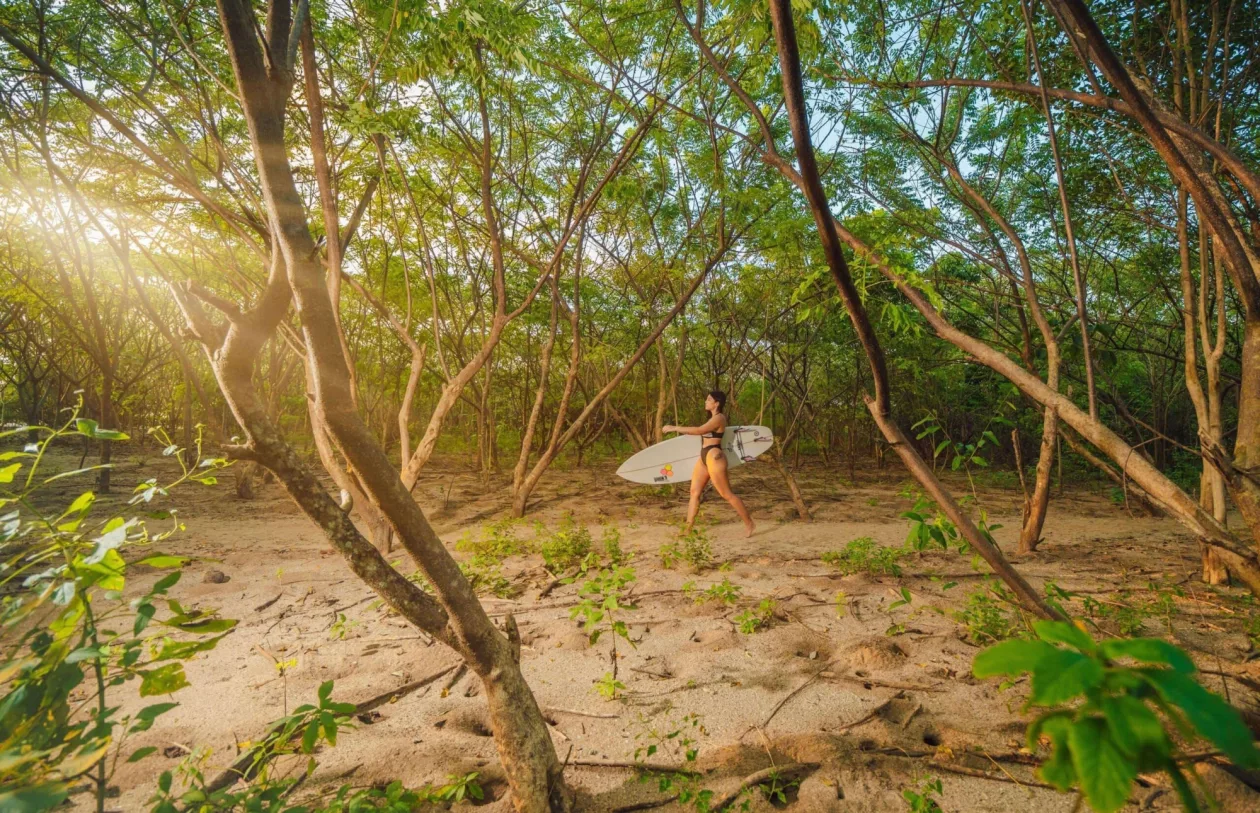 Family Fun and Surfing Sun at The Gilded Iguanas Surf Club 1