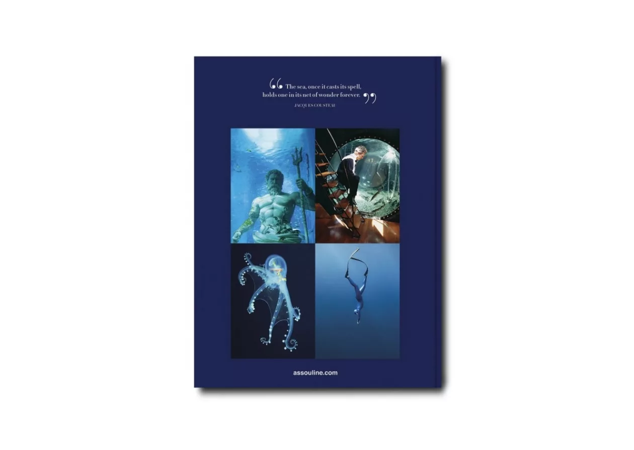 Journey Beneath the Waves The Allure of Ocean Wanderlust 2