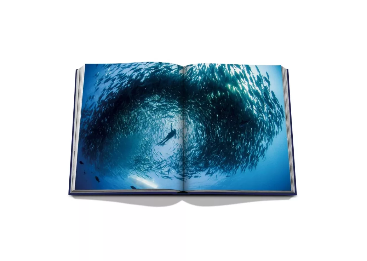 Journey Beneath the Waves The Allure of Ocean Wanderlust 3