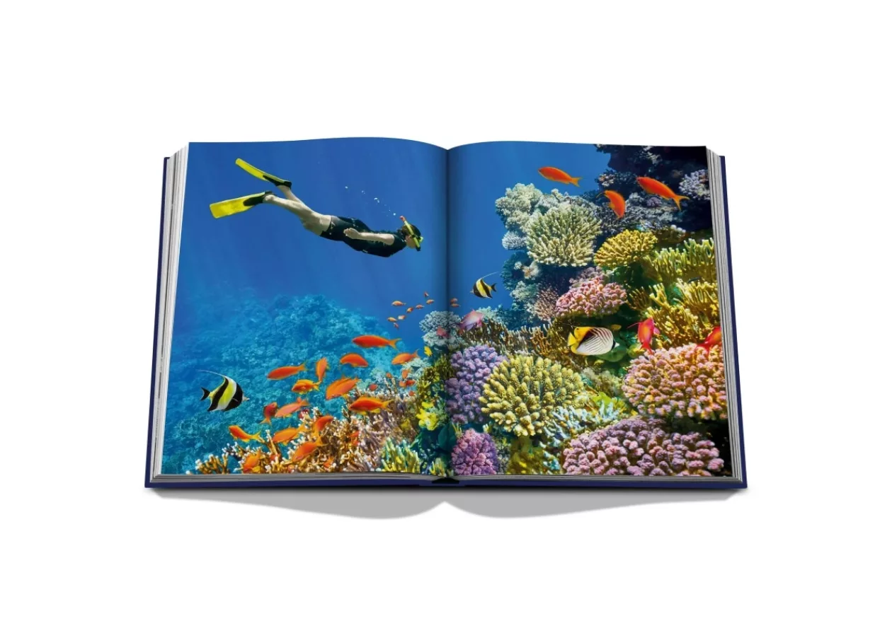 Journey Beneath the Waves The Allure of Ocean Wanderlust 7