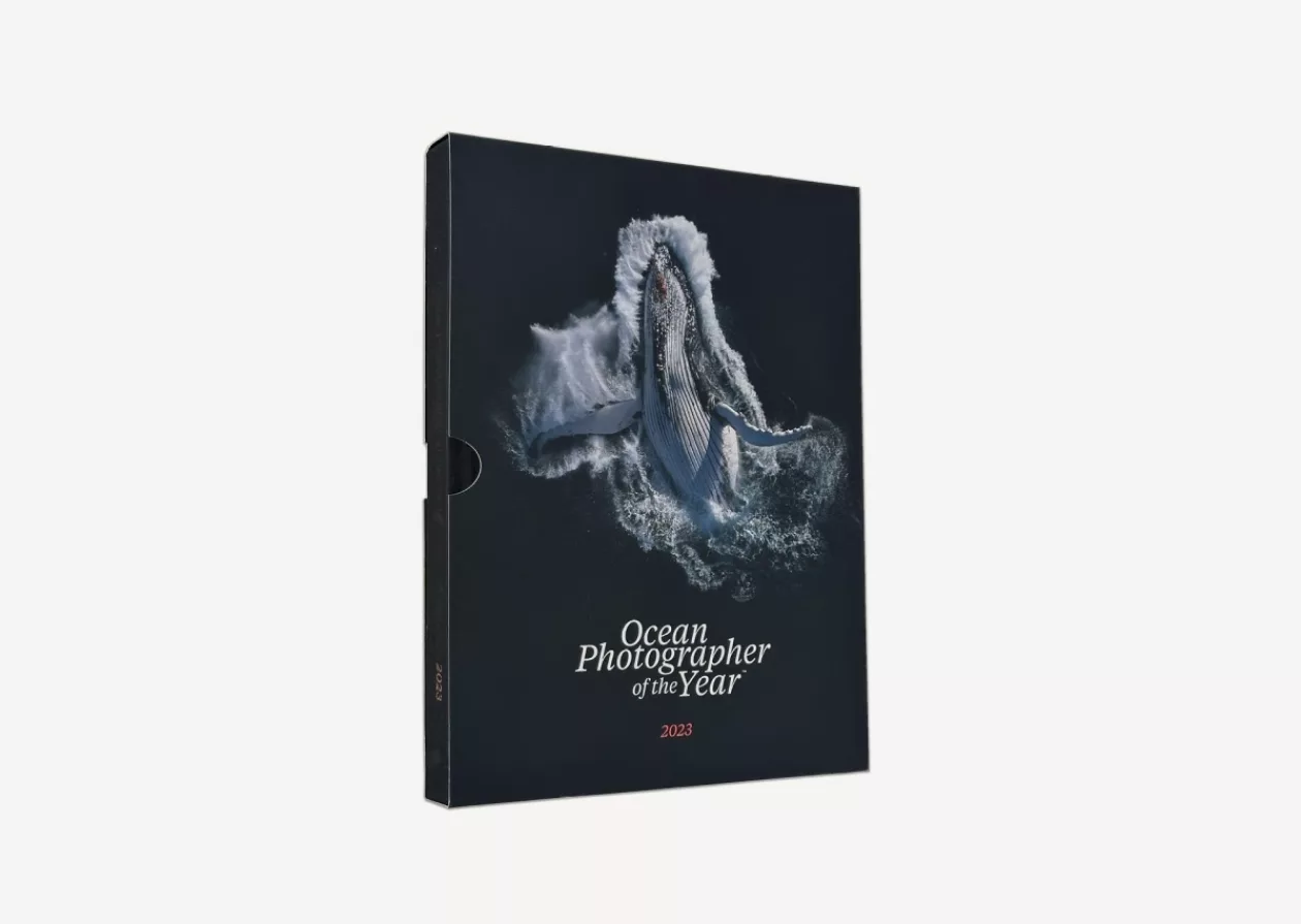 Visual Symphony of the Seas 2023 Ocean Photographer of the Year Edition 1