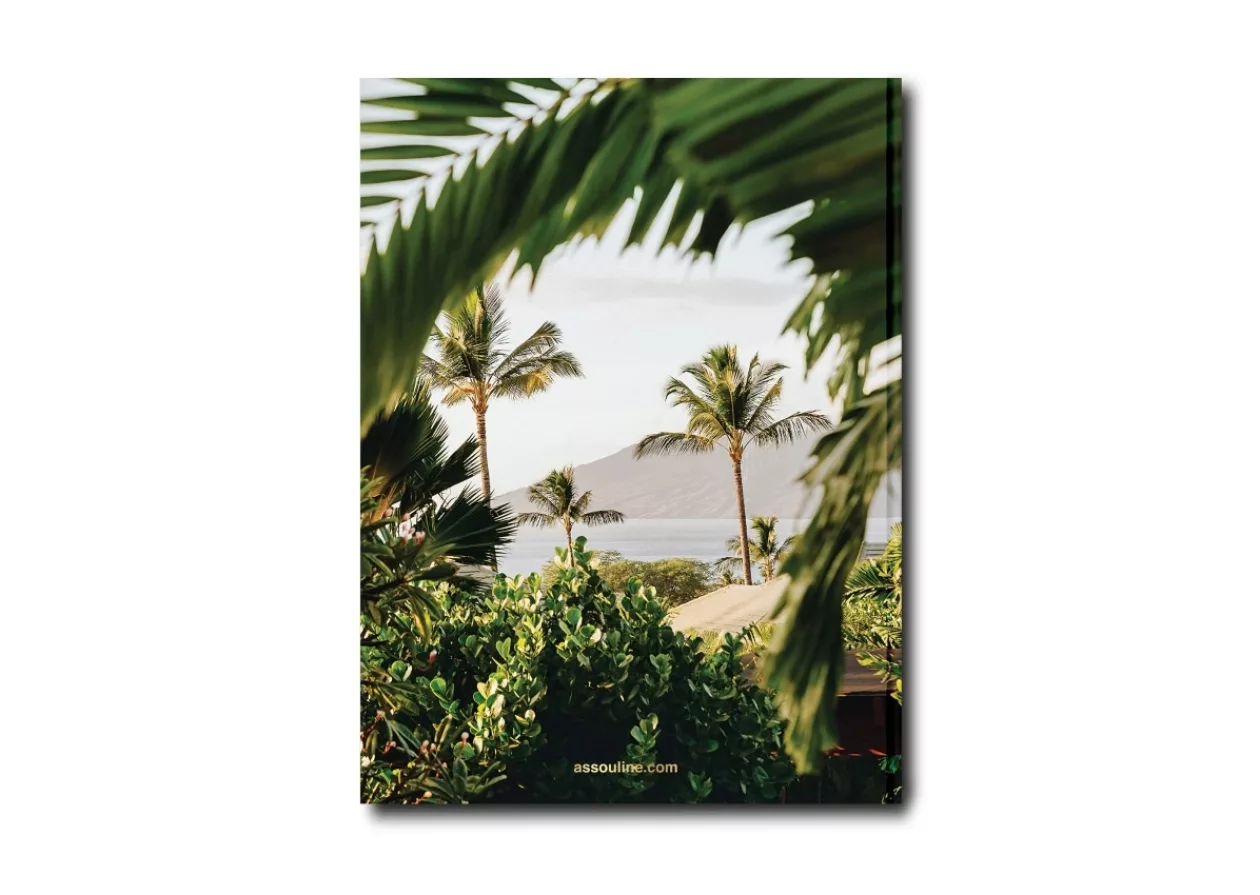 Hotel Wailea Revealed A Journey Through Time and Luxury 2