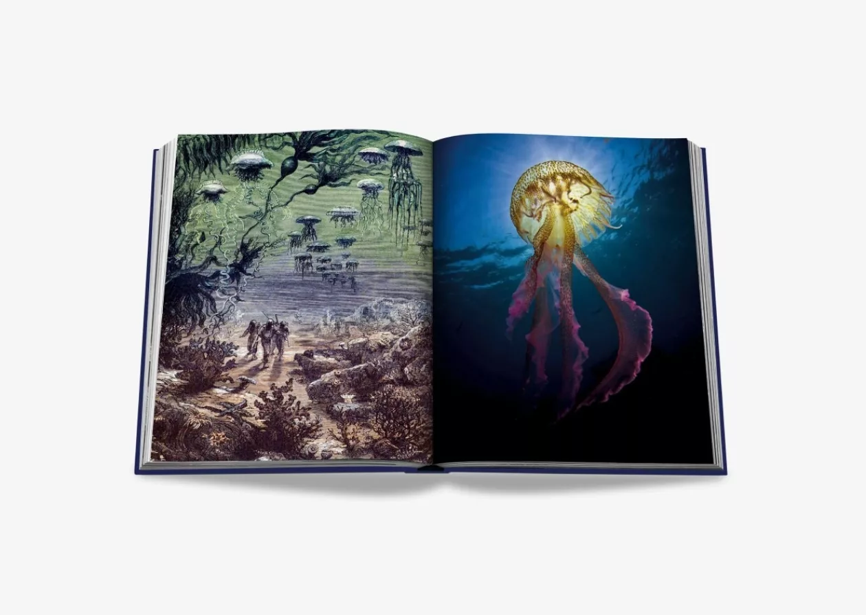 Beyond the Surface Ocean Wanderlusts Waterproof Edition a Marine Marvel 3