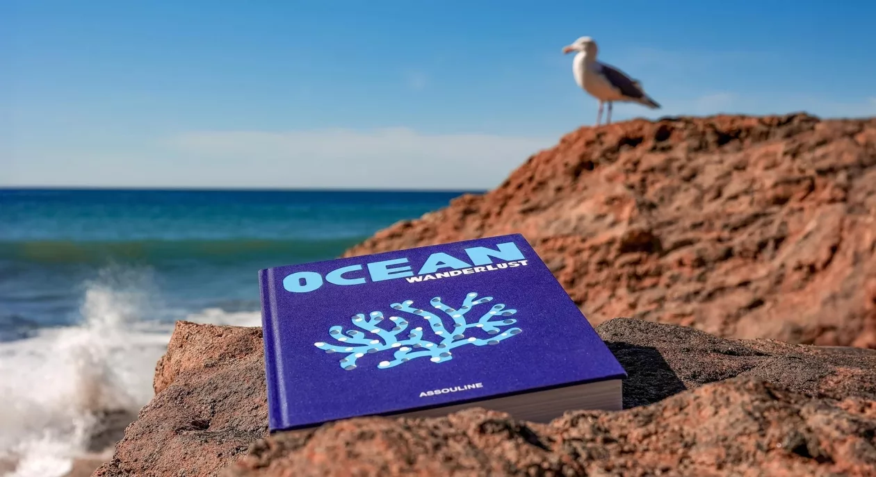 Beyond the Surface Ocean Wanderlusts Waterproof Edition a Marine Marvel 7