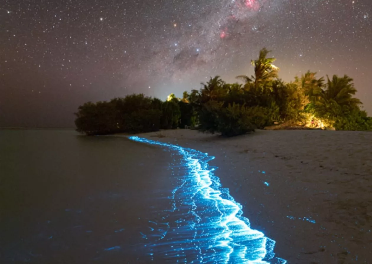 Soneva Secret 2024 Tailored Tranquility in the Heart of the Maldives 2