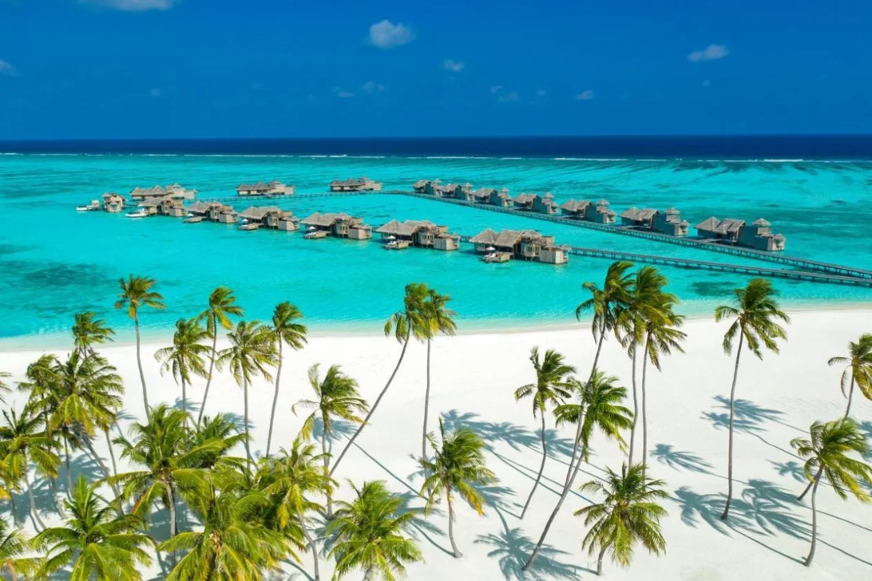 Gili Lankanfushi Maldives A Sanctuary of Privacy and Elegance 9