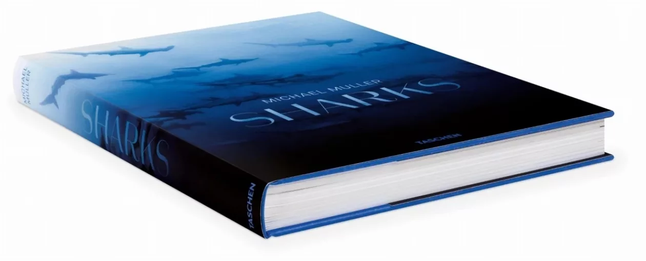 Shark1