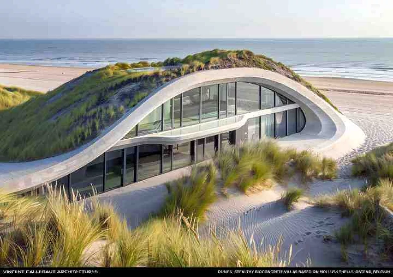 Dunes pl003