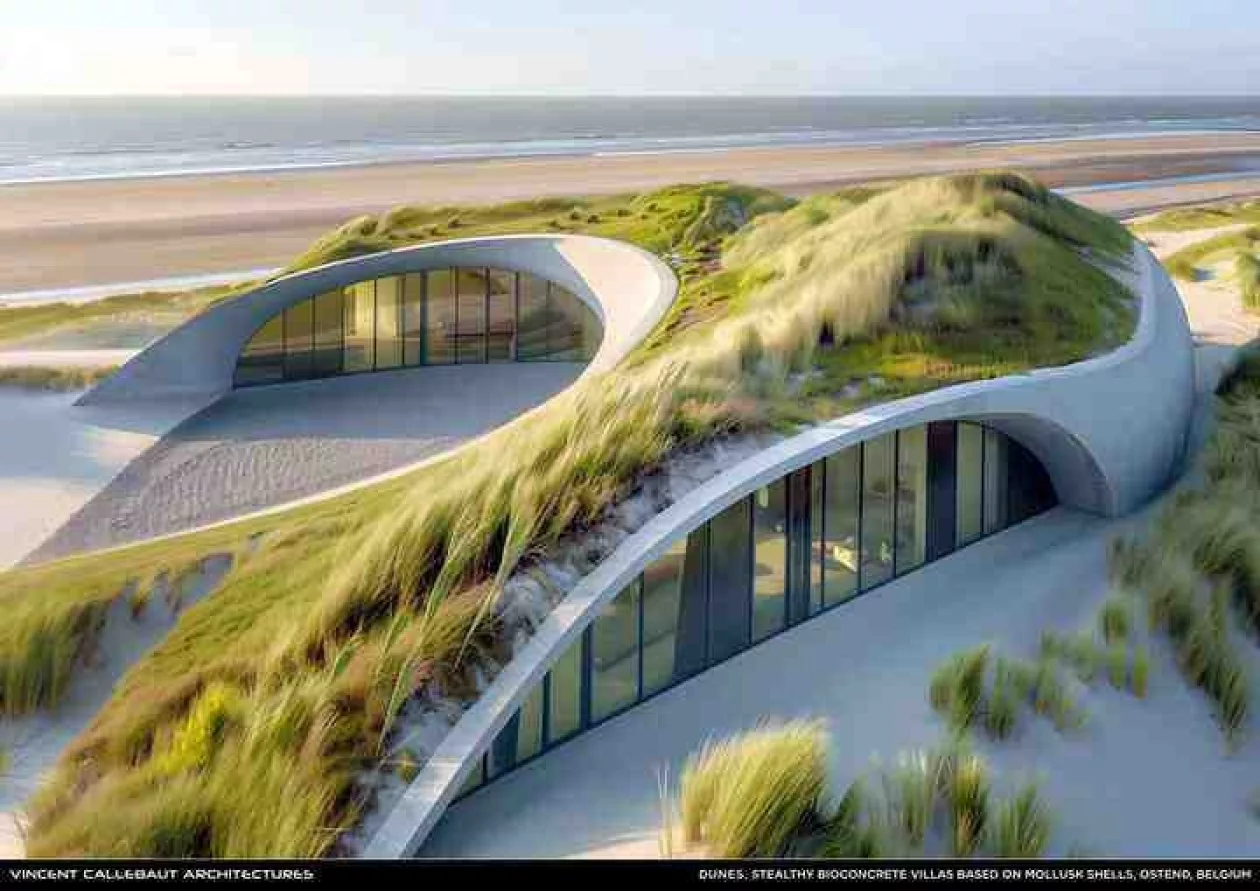 Dunes pl009