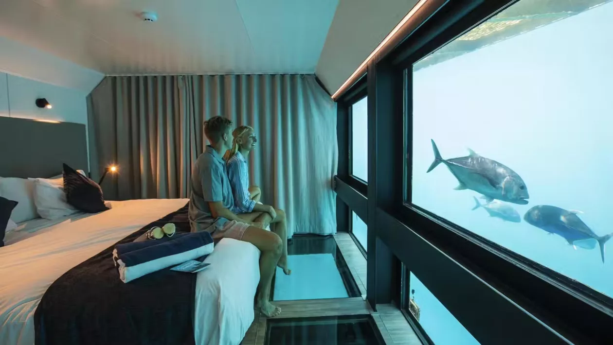 CWS Experiences Reefsuites109