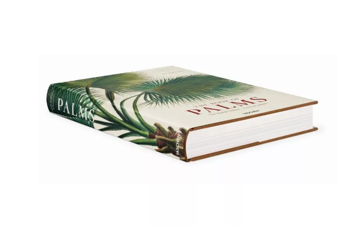 Palms books supremarine 2