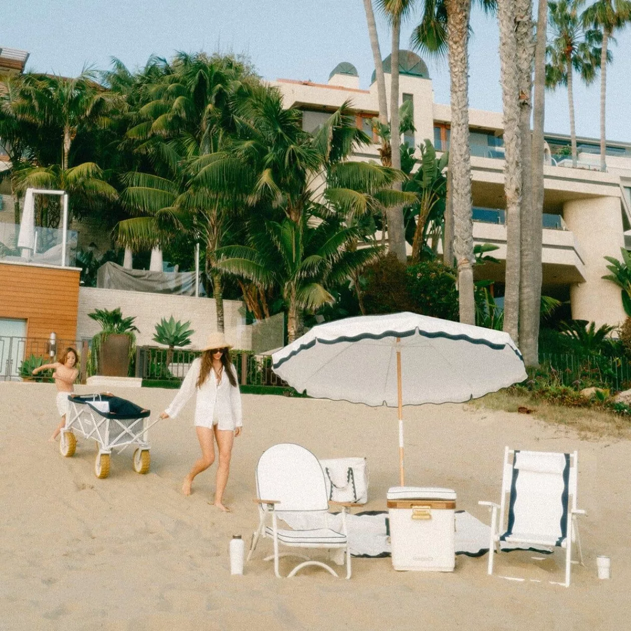 Beach cart6