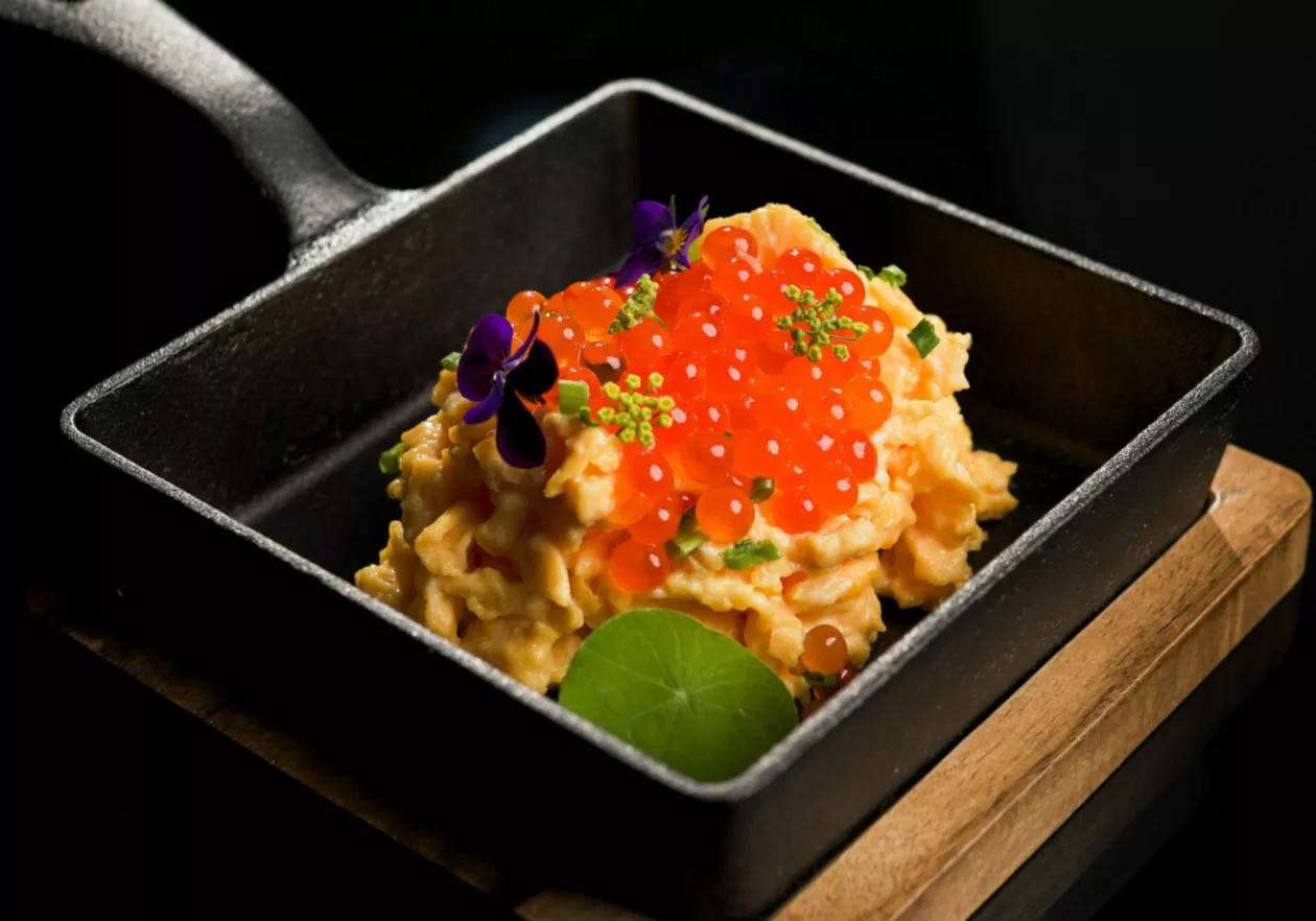 Mt. Cook Alpine Salmon
