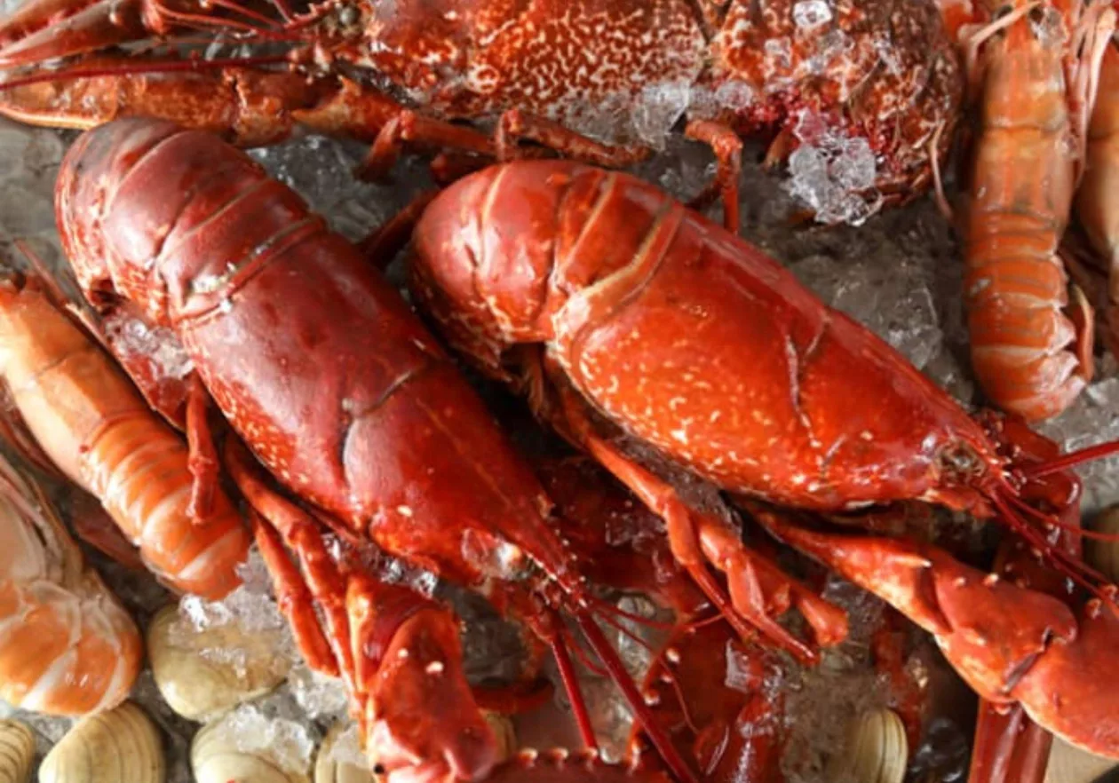 Theseafoodrestaurant 2