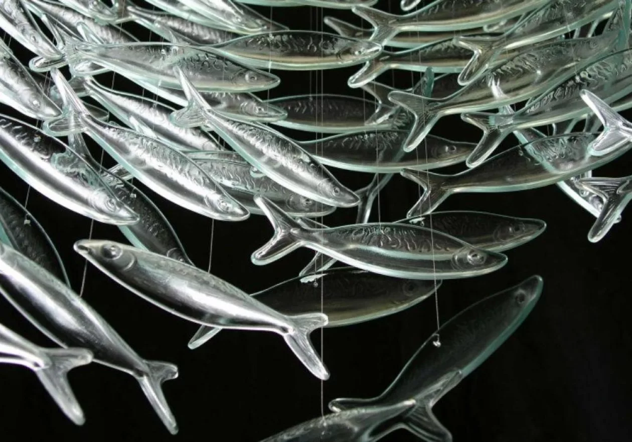 Glass Shoal 1