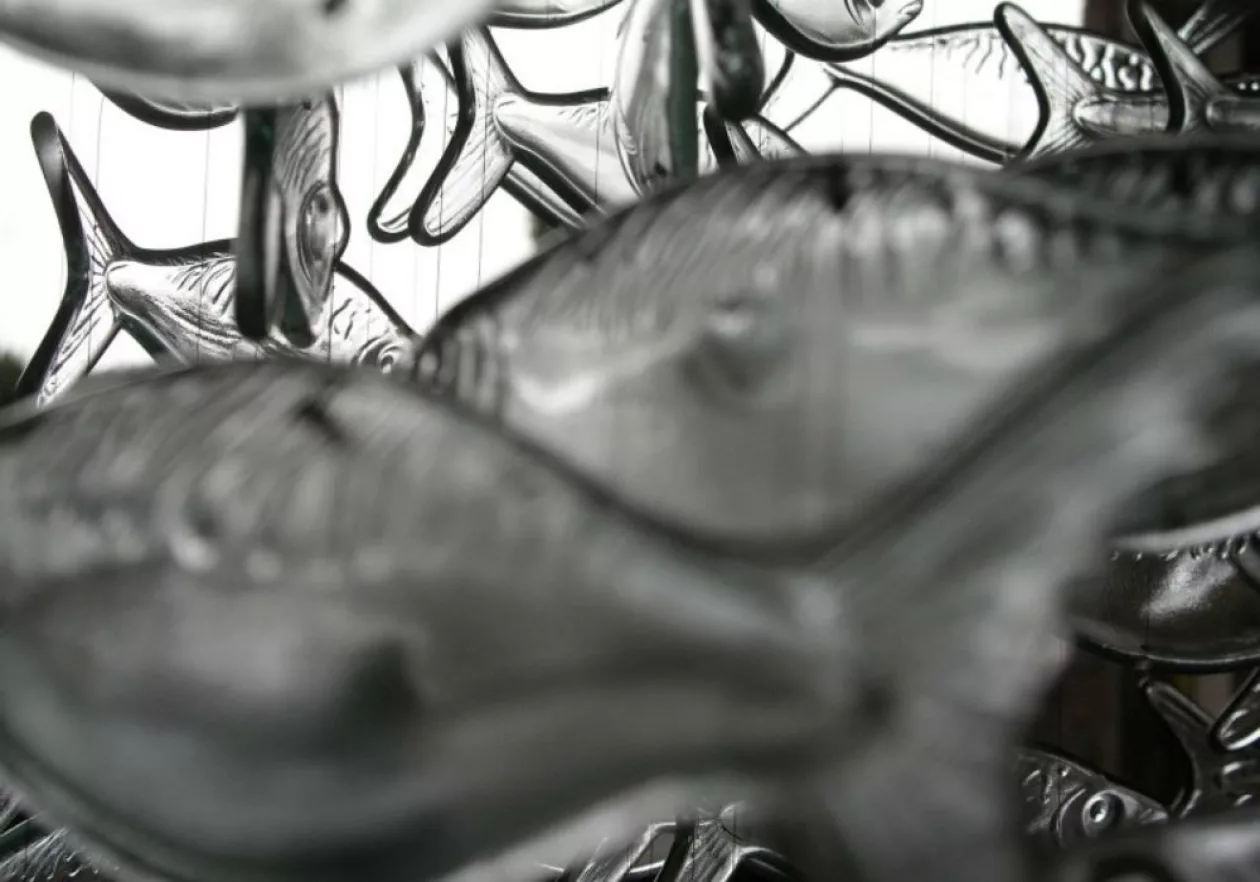 Glass Shoal 5