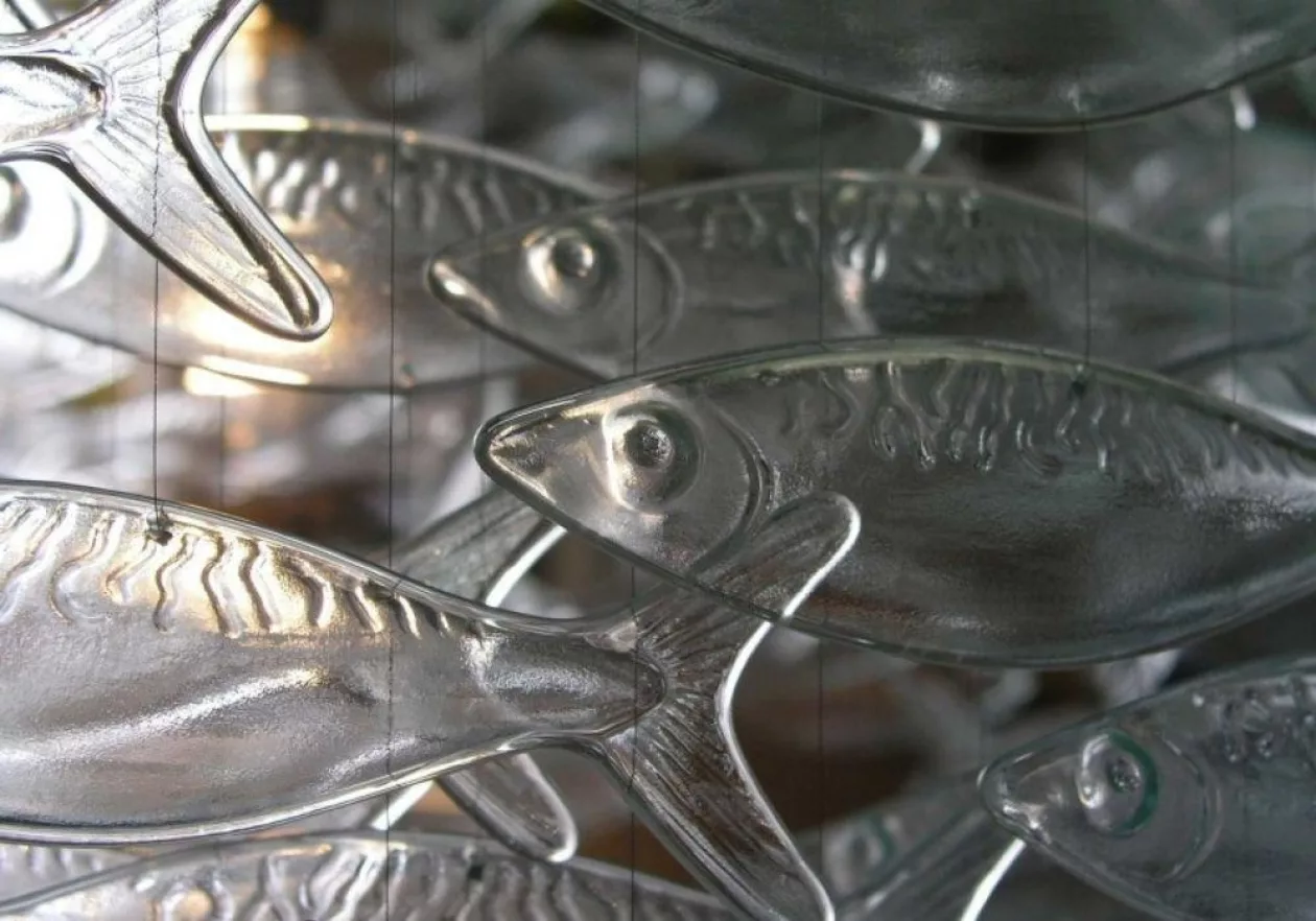 Glass Shoal 6