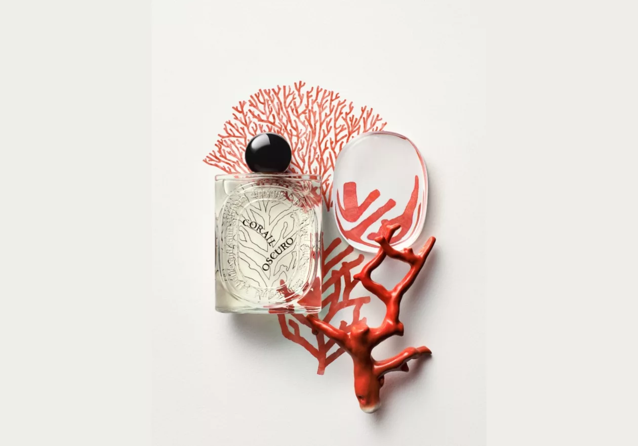 Corail Oscuro 02