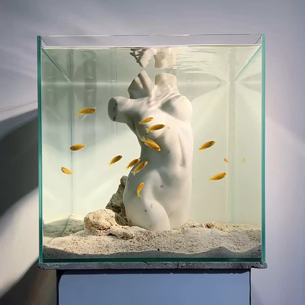Born Wet Aquarium Sculptures 001