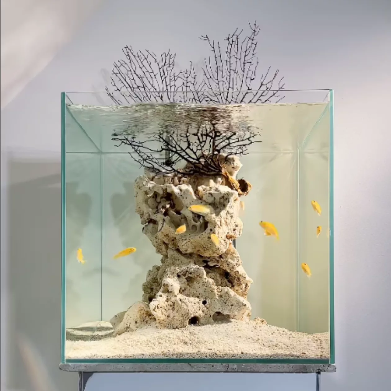 Born Wet Aquarium Sculptures 004