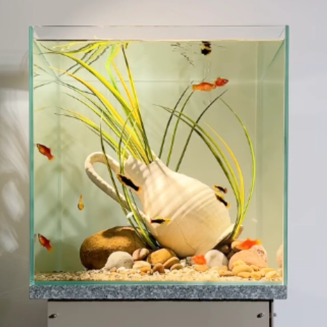 Born Wet Aquarium Sculptures 002