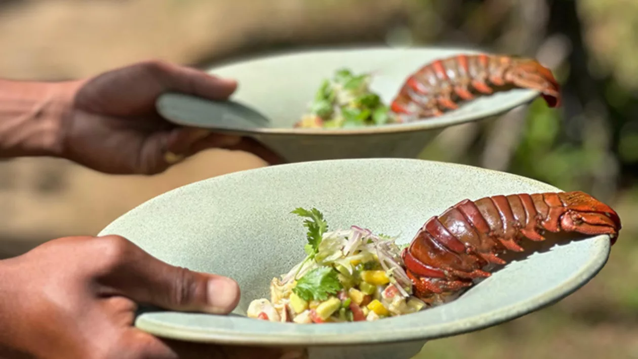Voaara Madagascar A Private Island Paradise Where Nature and Luxury Meet 08