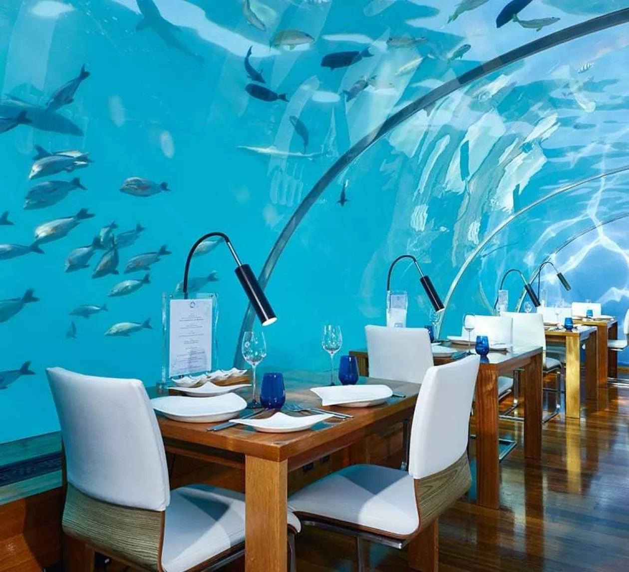 Ithaa undersea restaurant supremarine 2