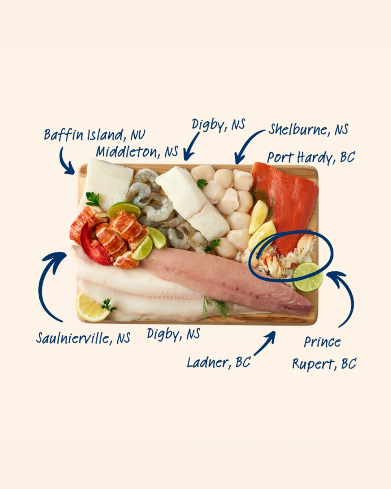 Larrys Catch Build Your Own Seafood Box Freshly Sourced Tailored to Taste 01