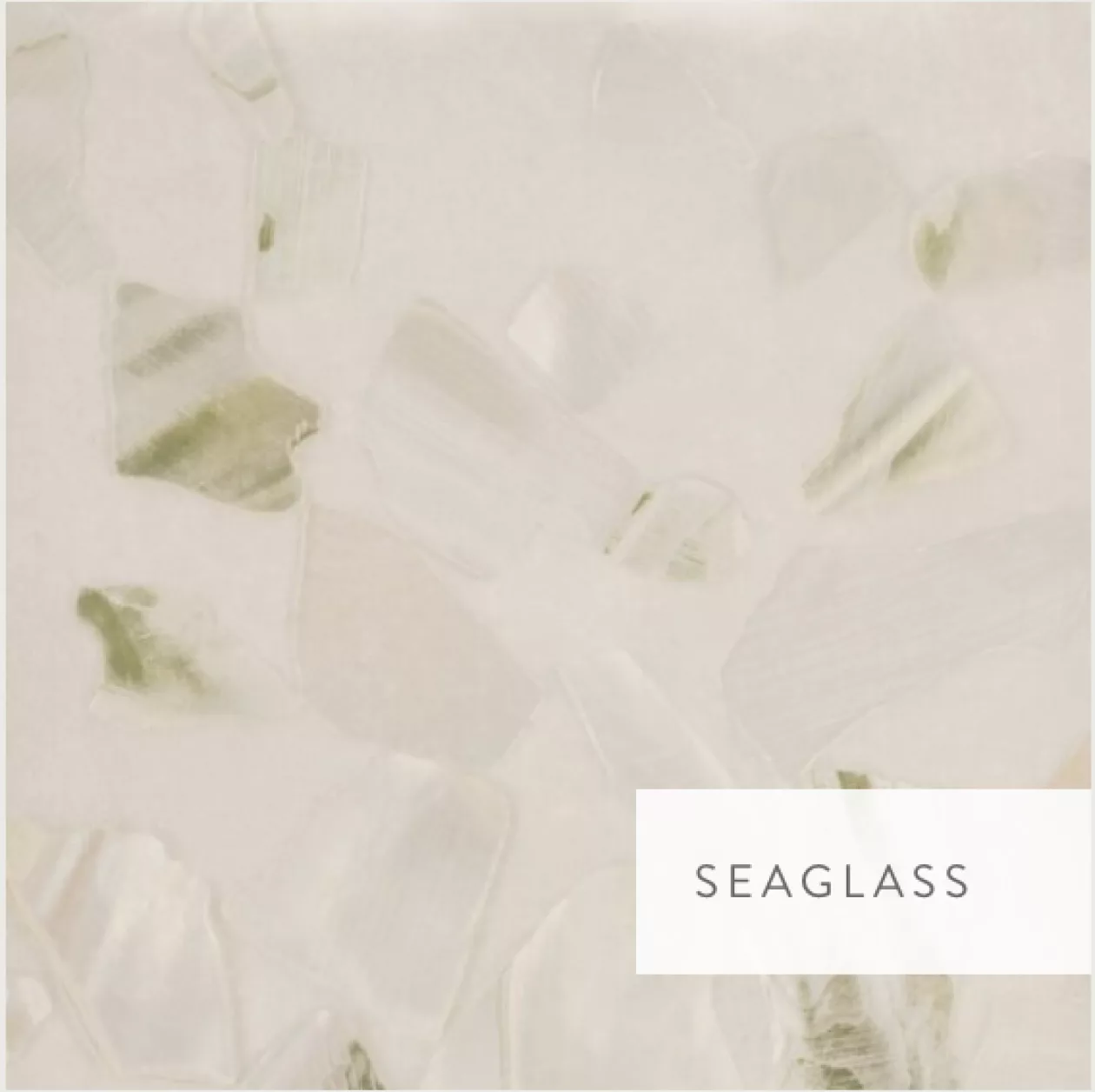 Calico Wallpaper Abalone Collection Whispered Seas Silken Shells 07