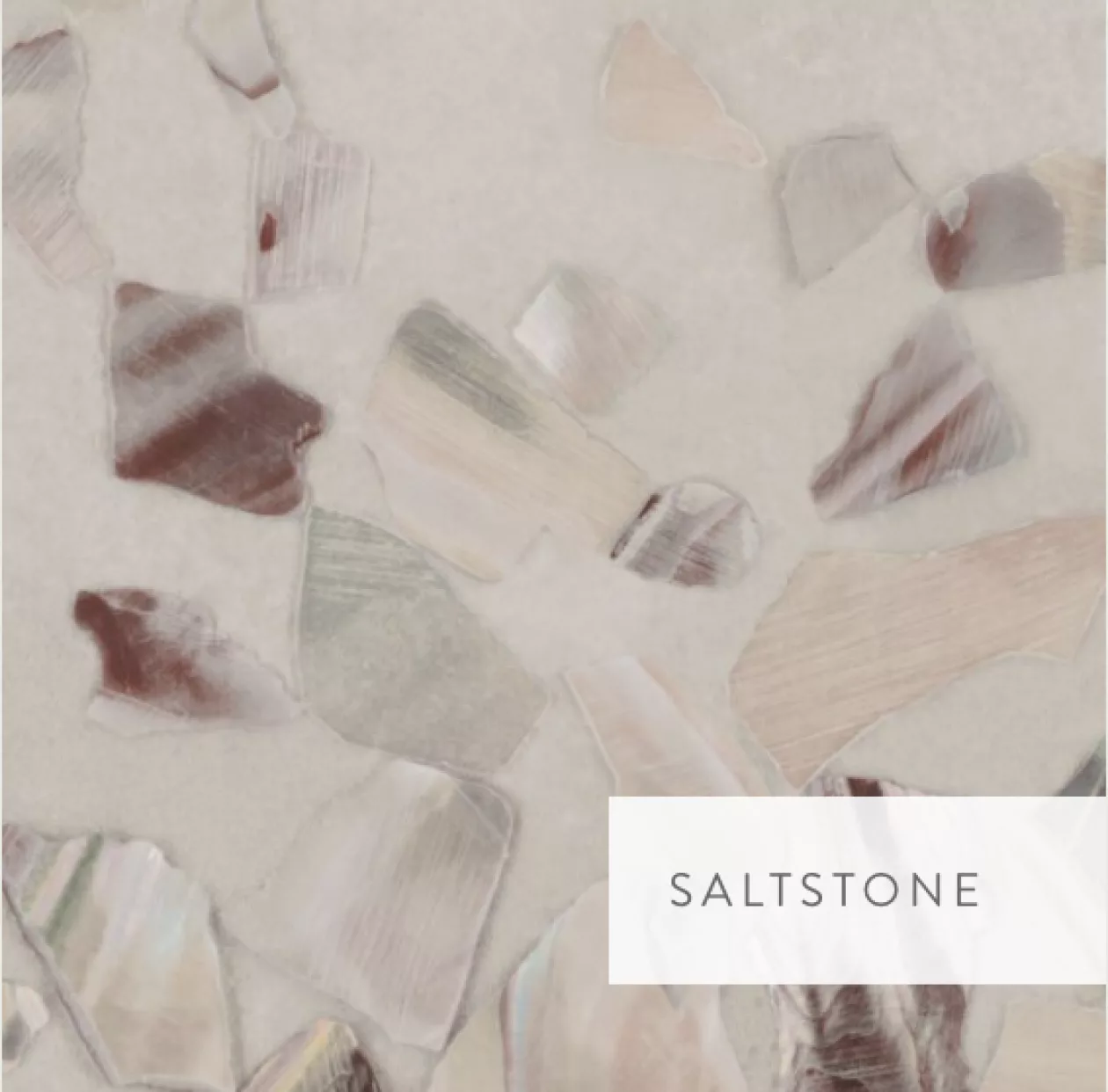 Calico Wallpaper Abalone Collection Whispered Seas Silken Shells 06