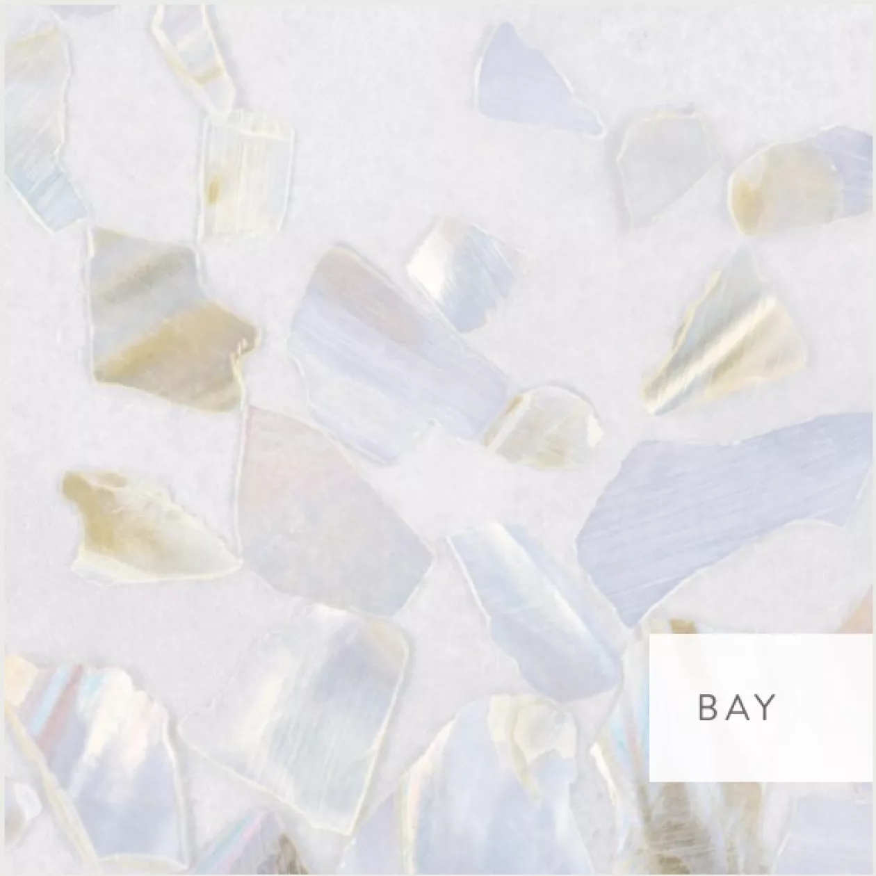 Calico Wallpaper Abalone Collection Whispered Seas Silken Shells 04