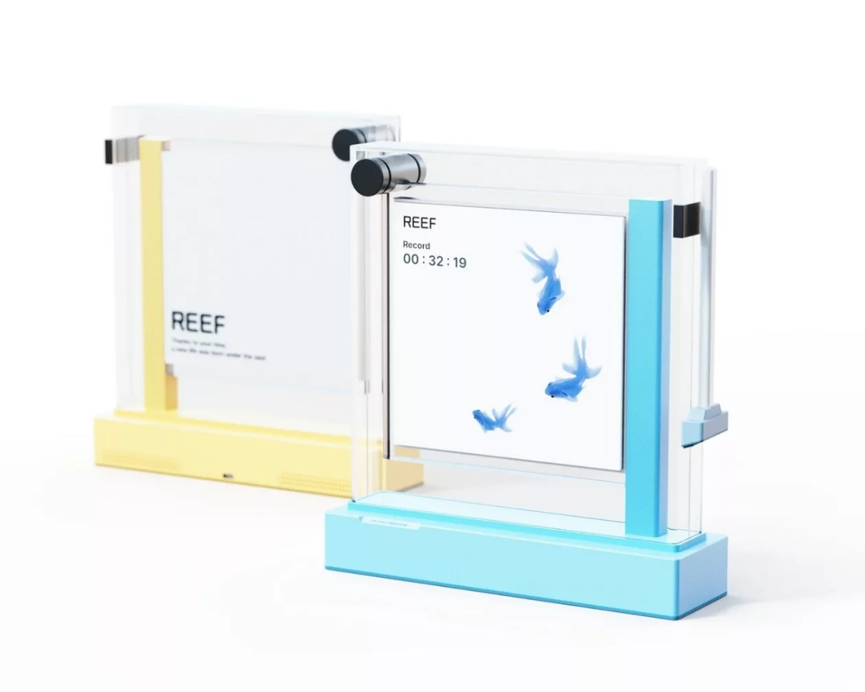 Reef A Digital Aquarium That Turns Screen Free Time into a Gentle Ritual