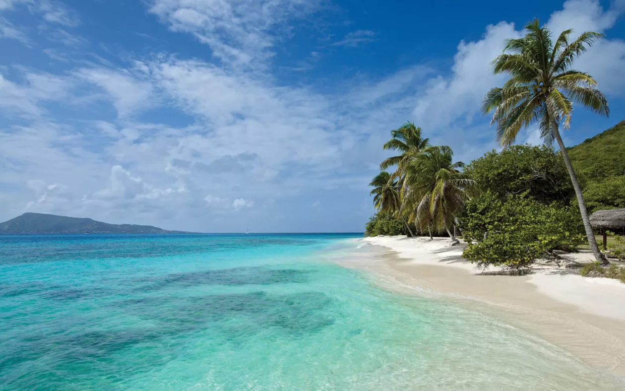 Petit St Vincent St Vincent the Grenadines Caribbean 06