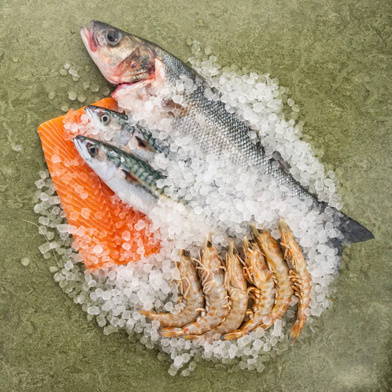 Fresh from the Coast The Sea The Sea Fish Boxes 01