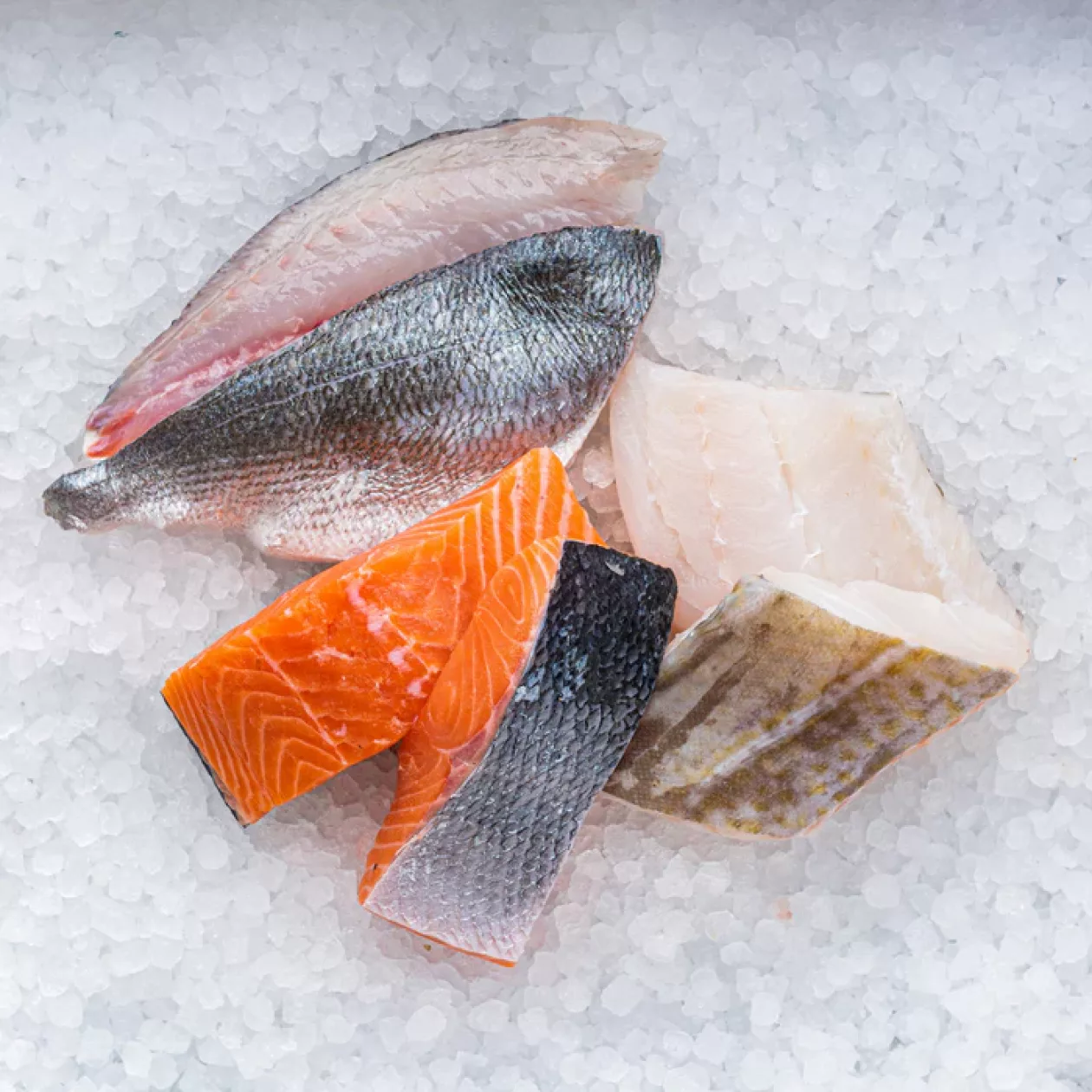 Fresh from the Coast The Sea The Sea Fish Boxes 02