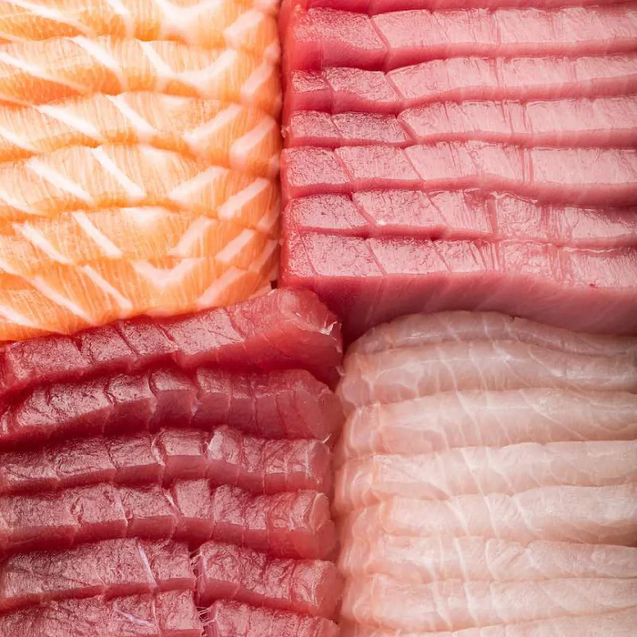 Fresh from the Coast The Sea The Sea Fish Boxes 06