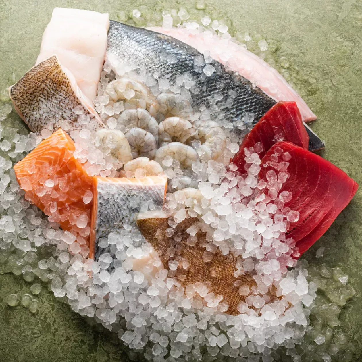 Fresh from the Coast The Sea The Sea Fish Boxes 08