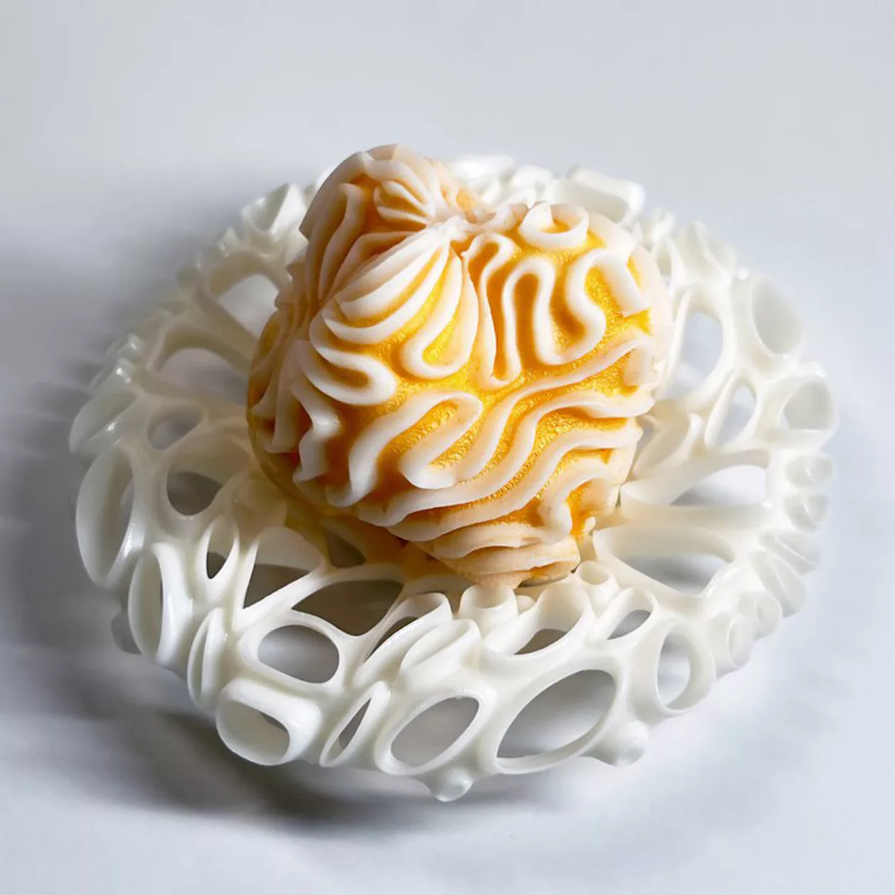 Microbi Design Coral Soaps Inspired by the Sea 06