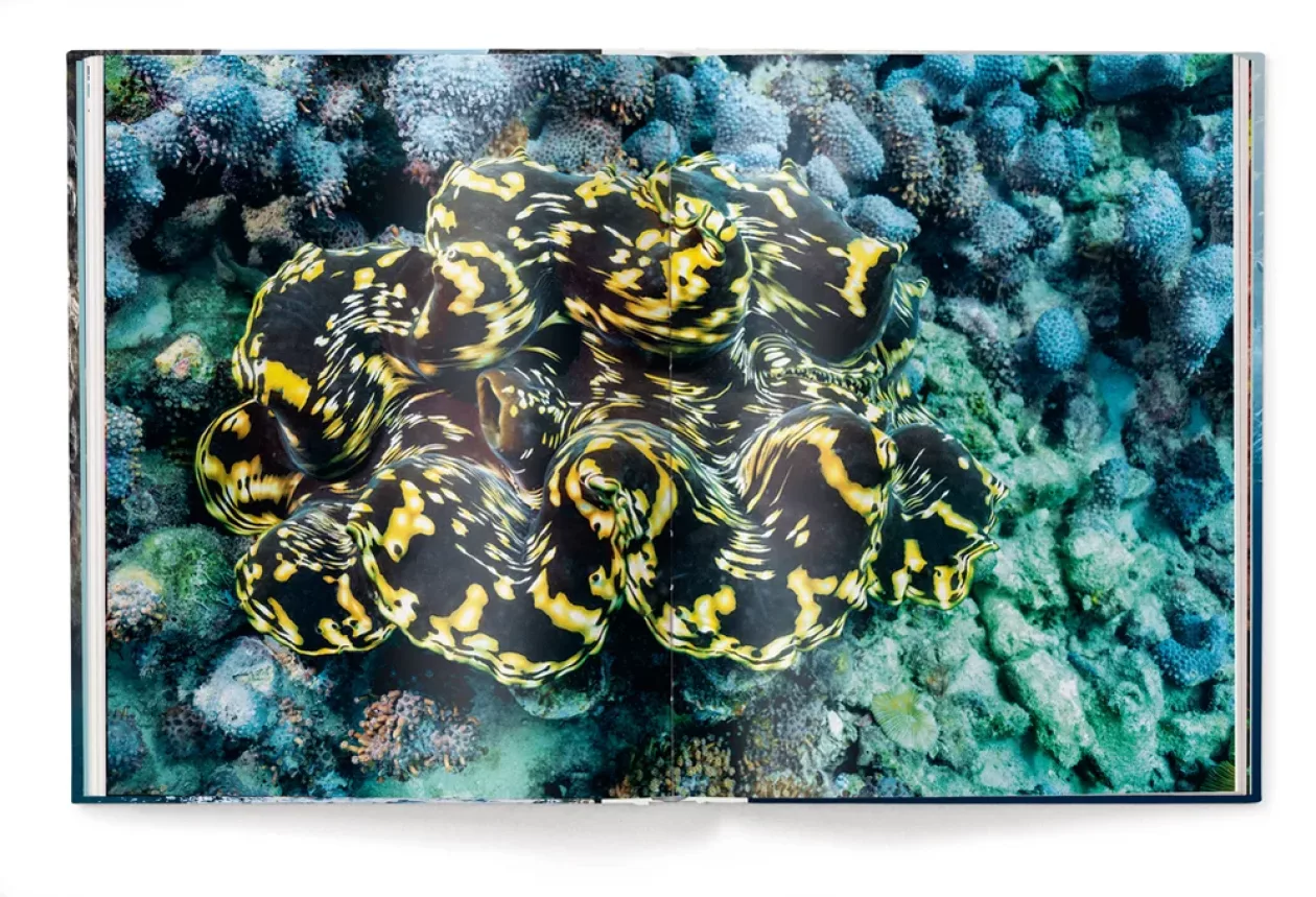 Heroes of the Sea 04