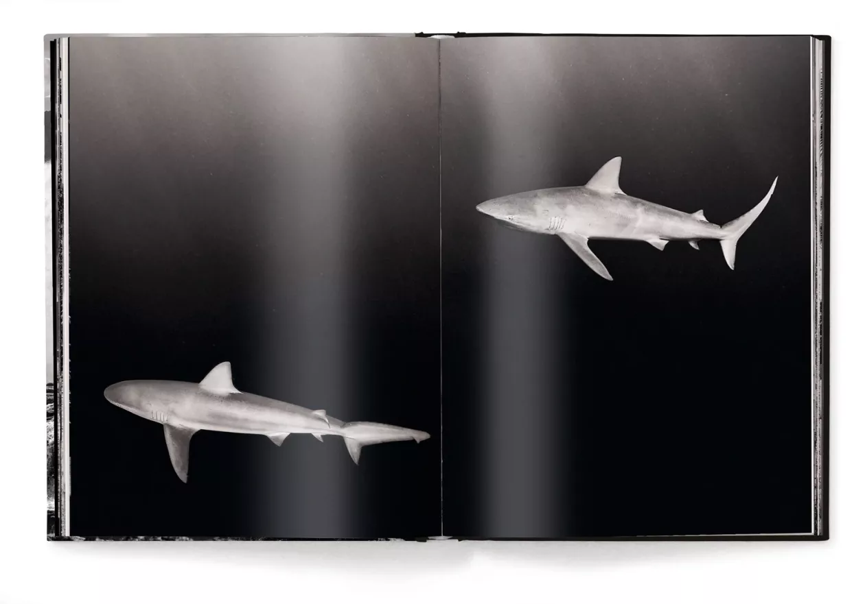 Olaf Heine Hawaii 08